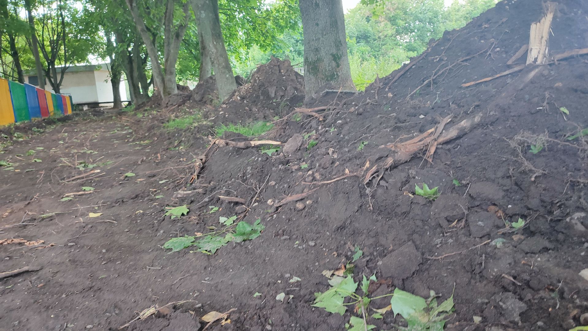 Кашира, тротуар, народная тропа, пешком, программа губернатора