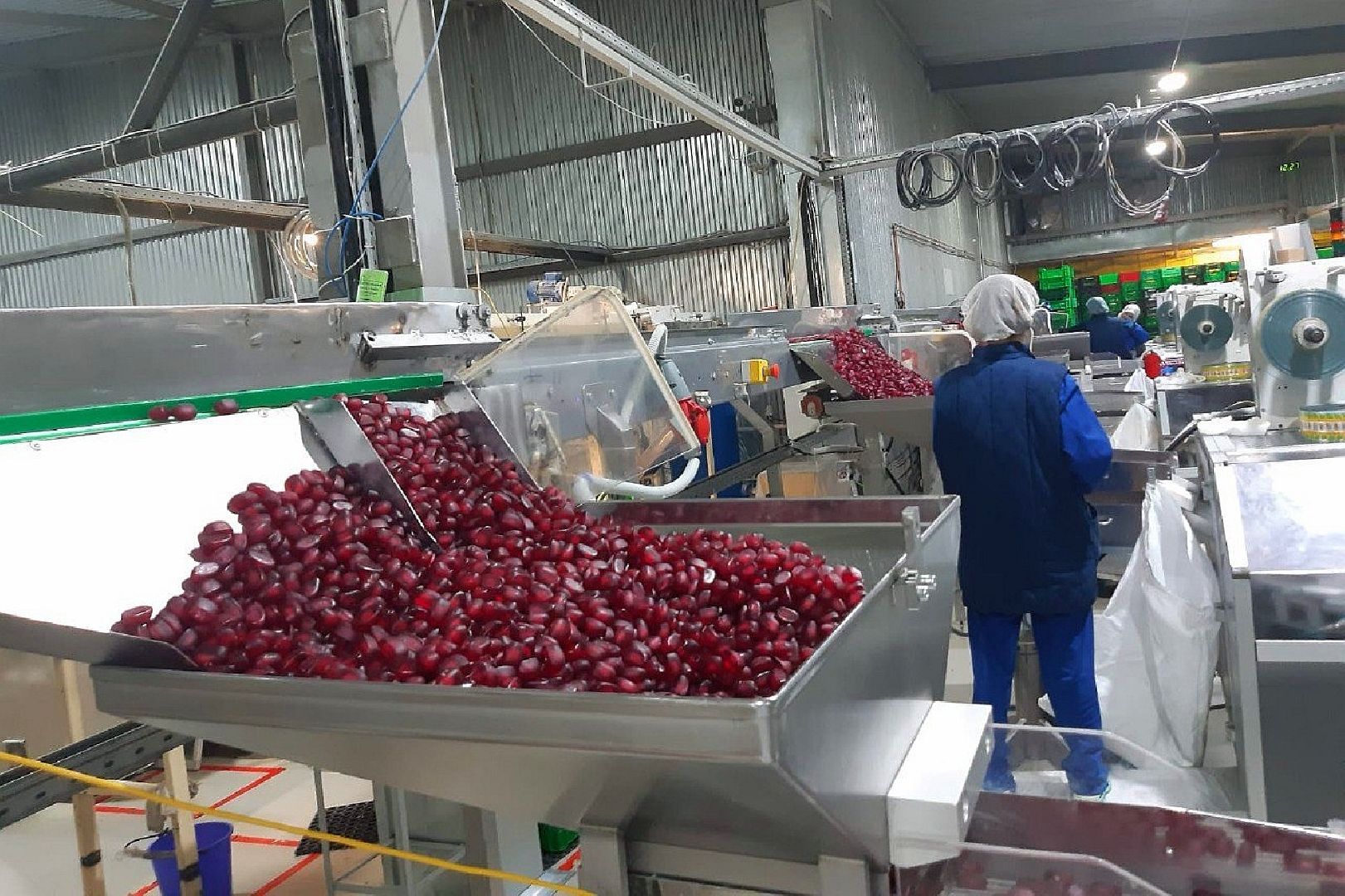 Подольск, конфеты, экономика