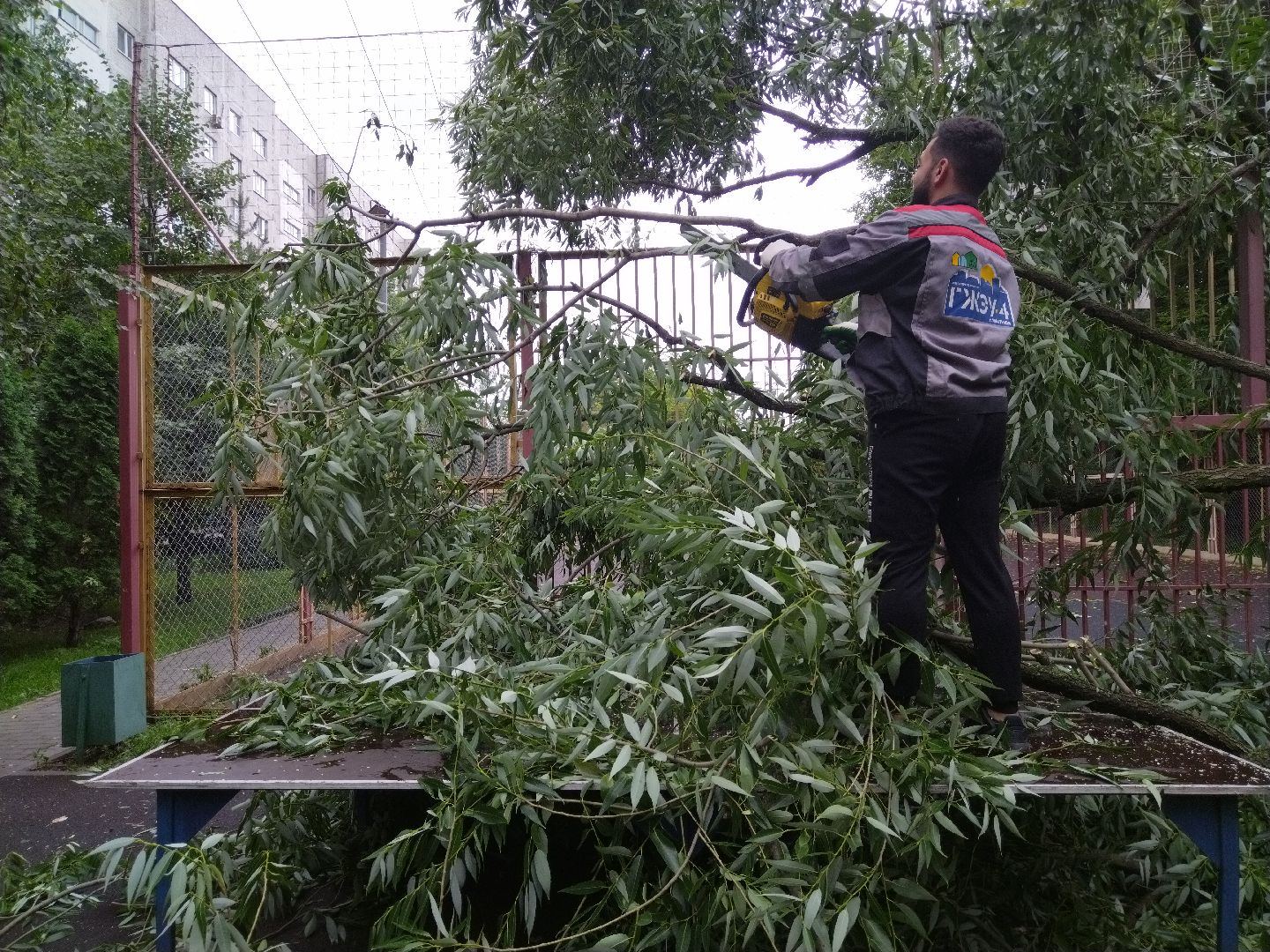 Непогода, Подмосковье, Мытищи, коммунальные службы