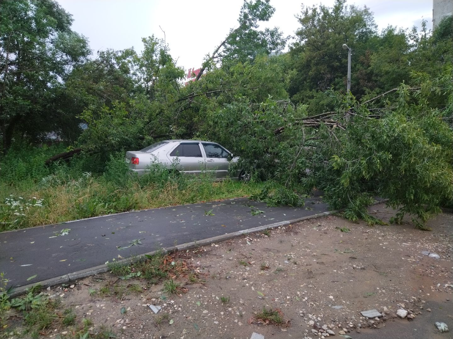 ЖКХ, Мытищи, непогода, дерево на машине