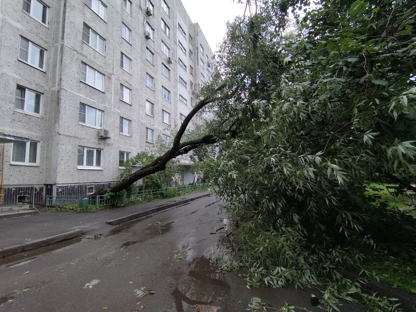 ЖКХ, Мытищи, непогода, Мособлэнерго