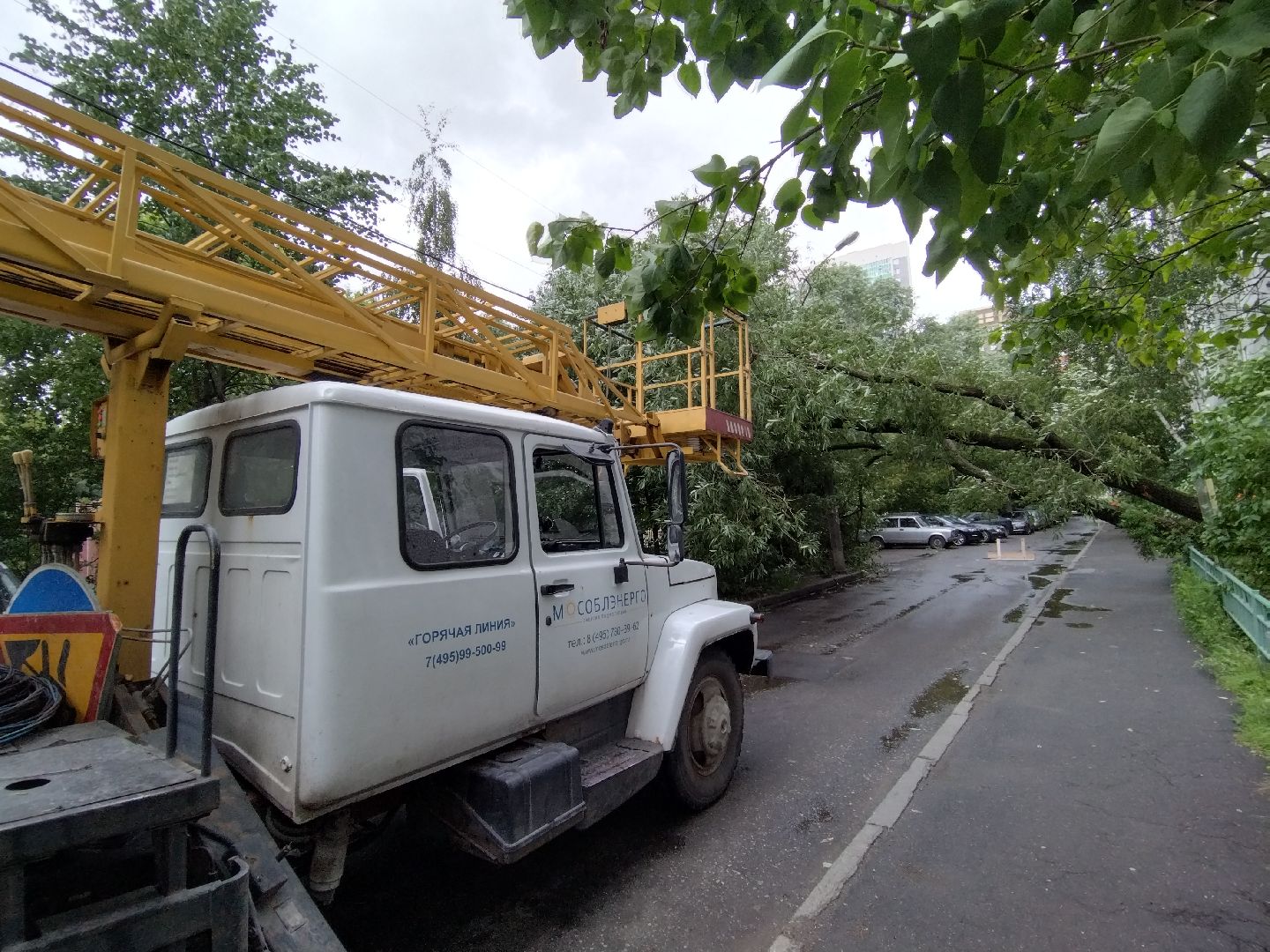 ЖКХ, Мытищи, непогода, Мособлэнерго