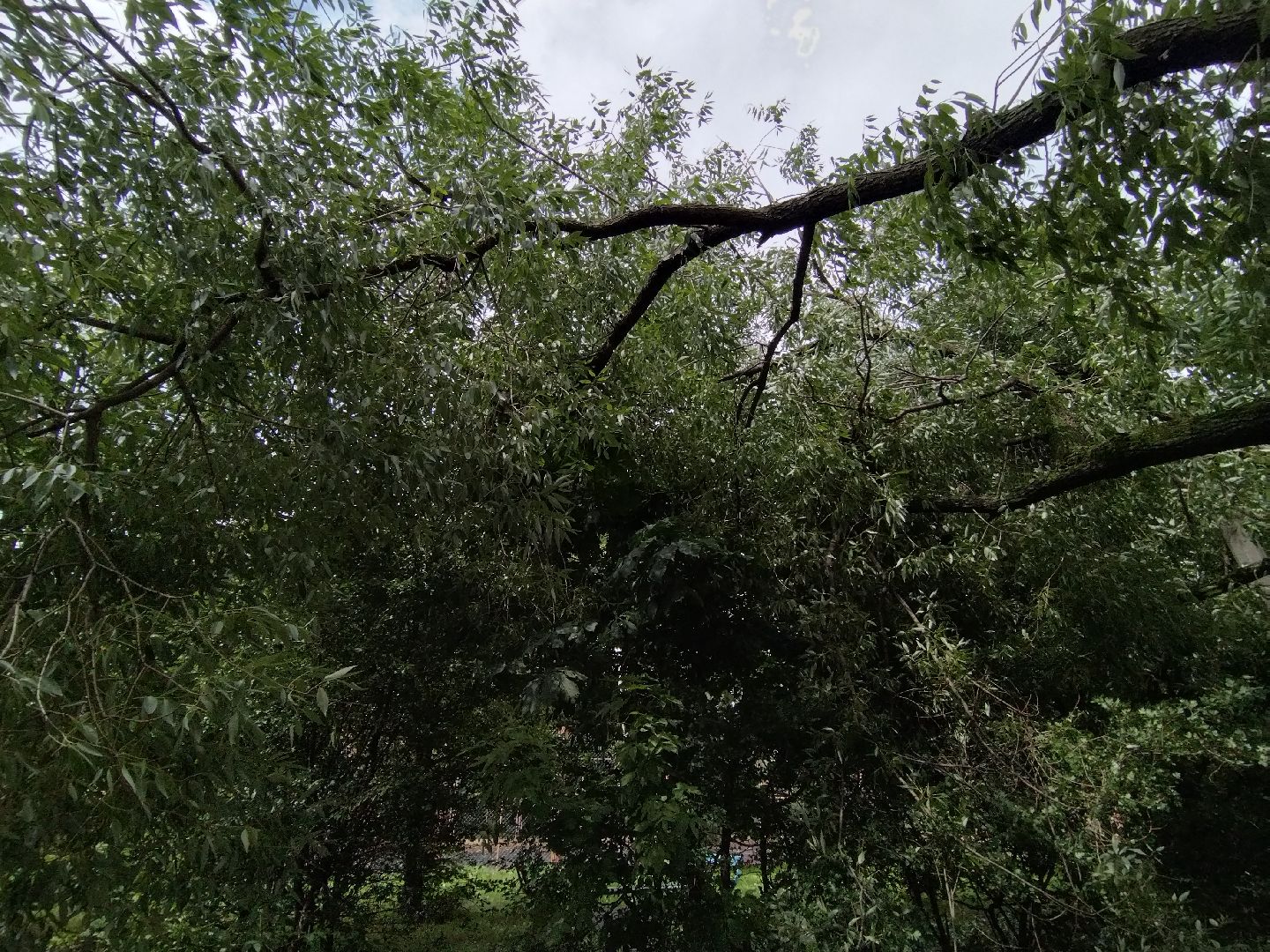 ЖКХ, Мытищи, непогода, Мособлэнерго