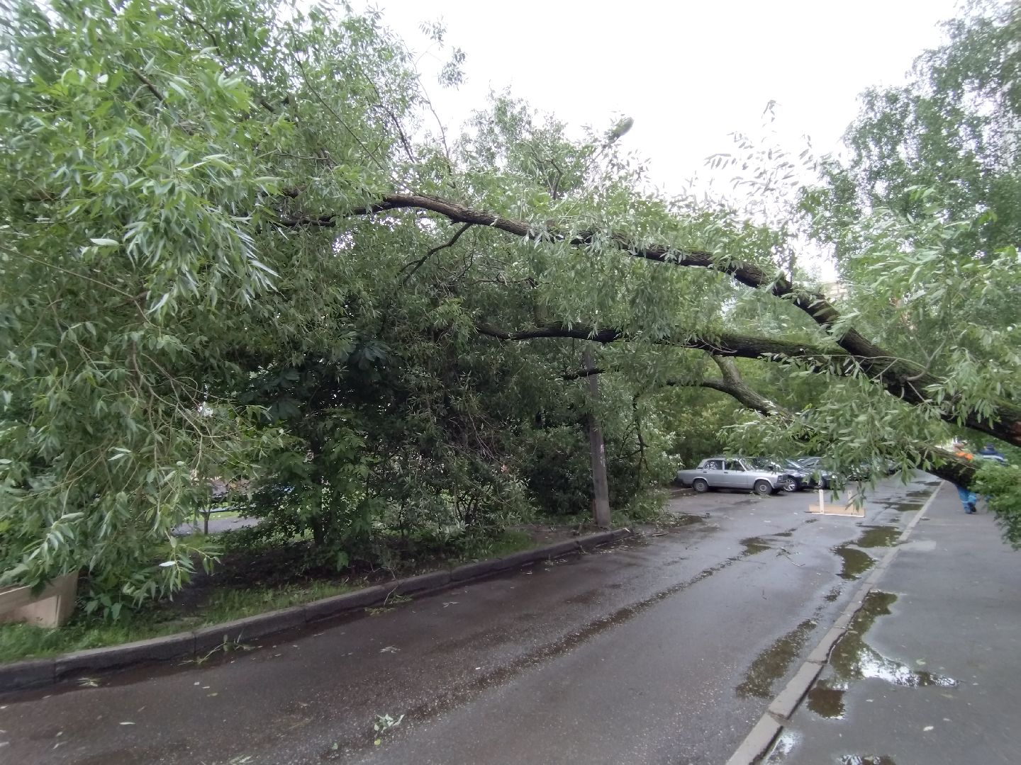 ЖКХ, Мытищи, непогода, Мособлэнерго