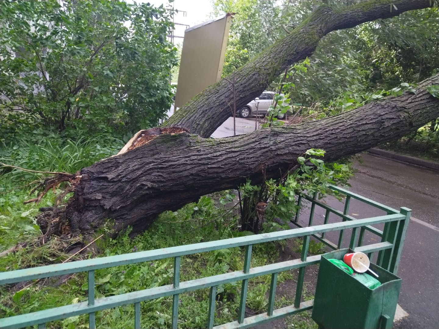 ЖКХ, Мытищи, непогода, Мособлэнерго