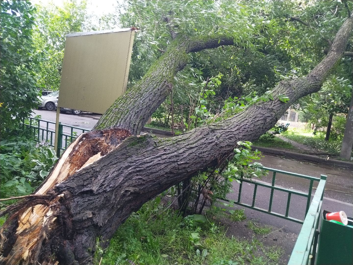 ЖКХ, Мытищи, непогода, Мособлэнерго