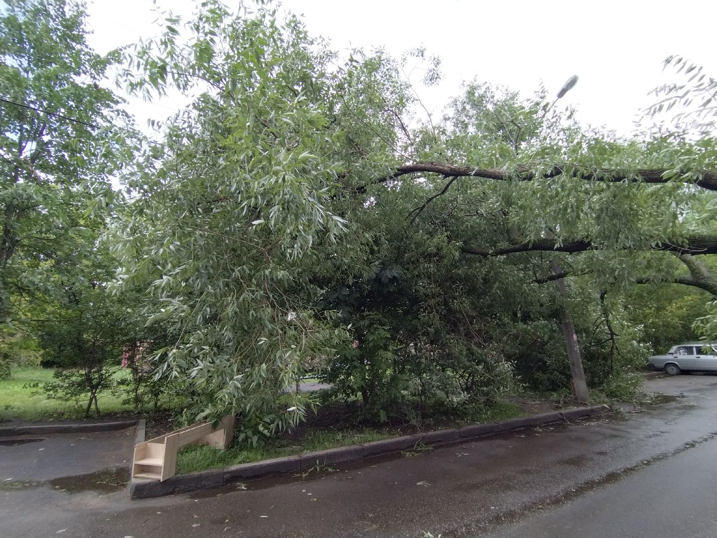 ЖКХ, Мытищи, непогода, Мособлэнерго