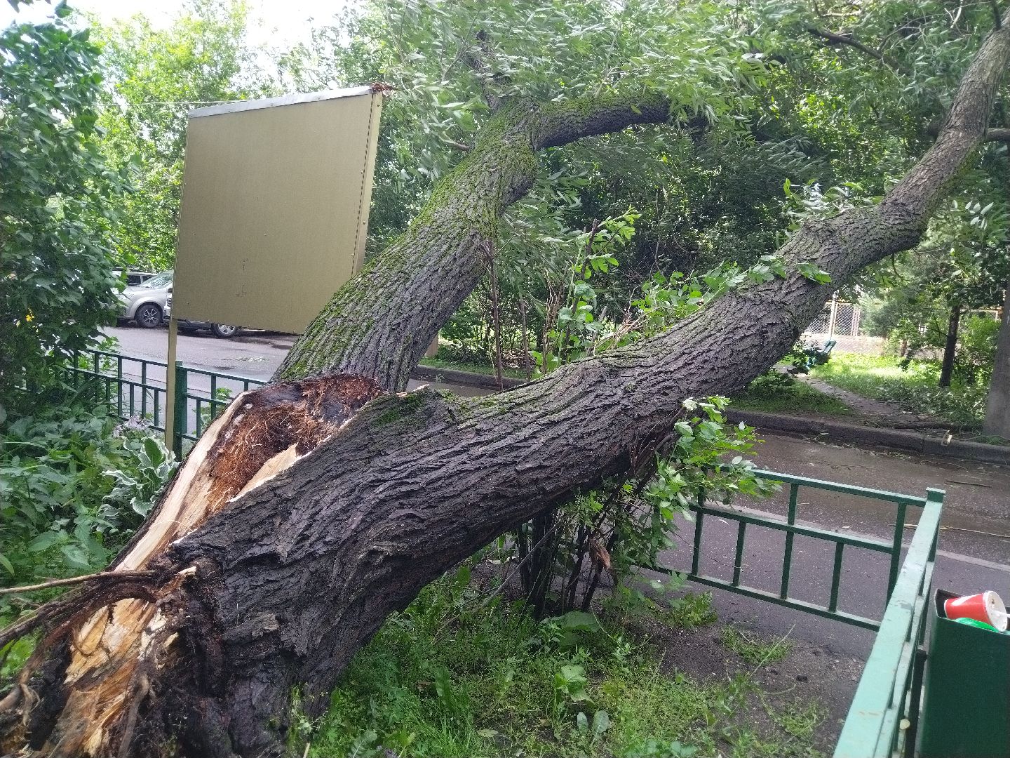 ЖКХ, Мытищи, непогода, Мособлэнерго