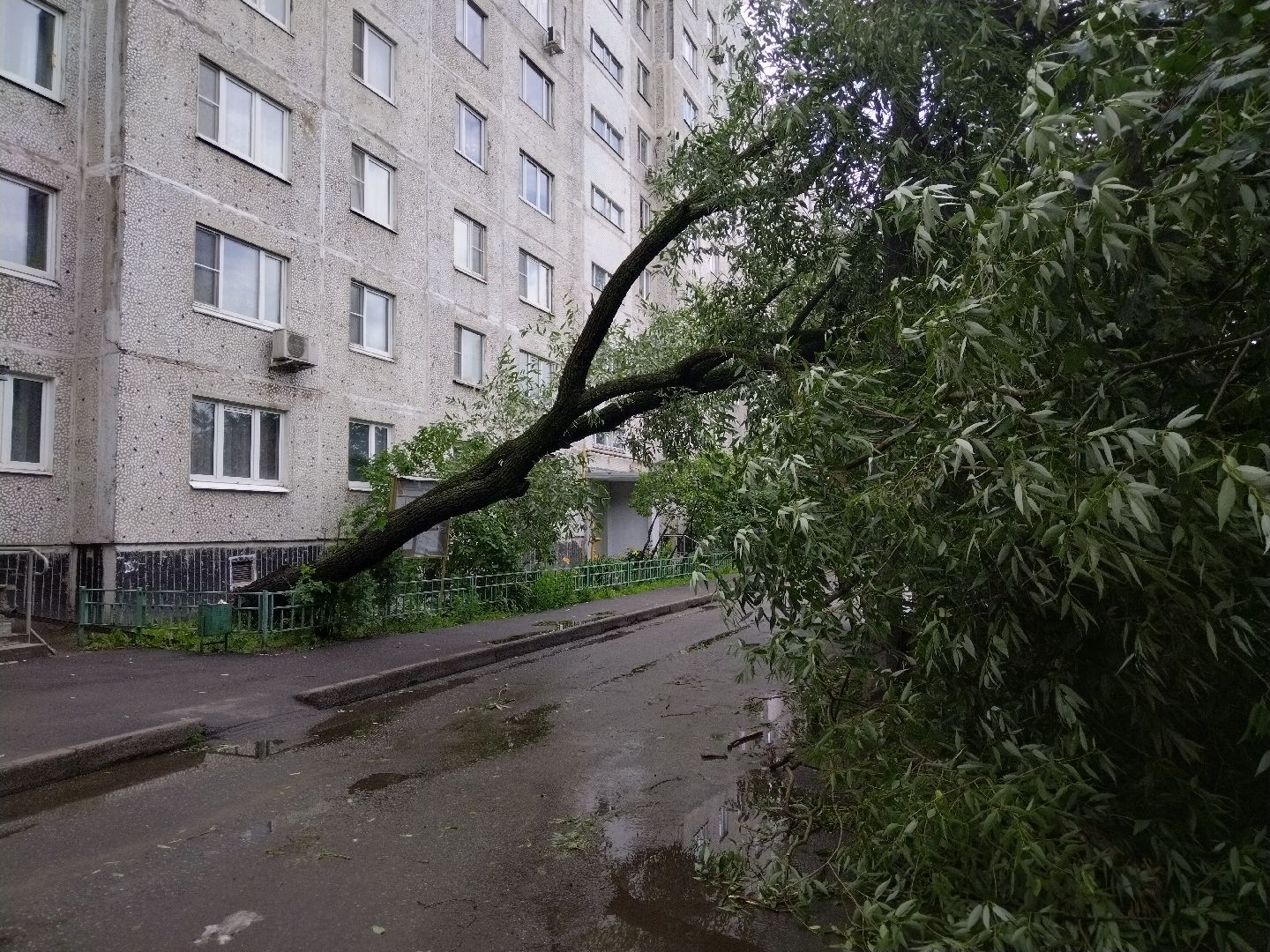 ЖКХ, Мытищи, непогода, Мособлэнерго