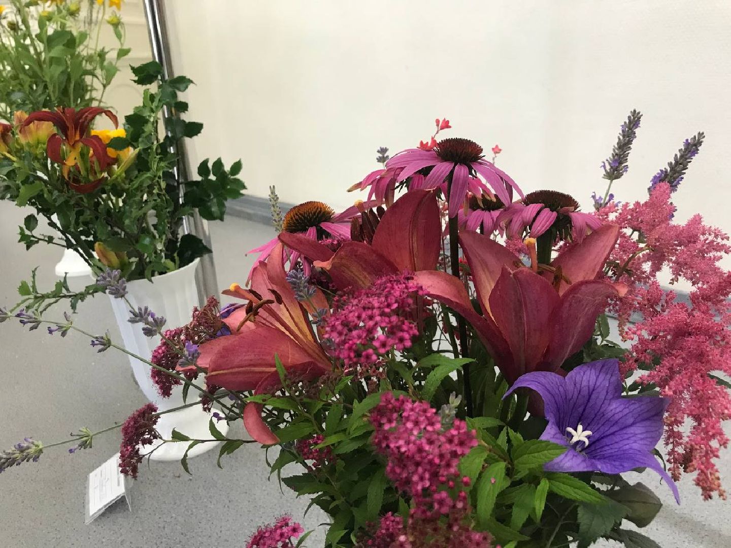 Коломна, общество, сельское хозяйство