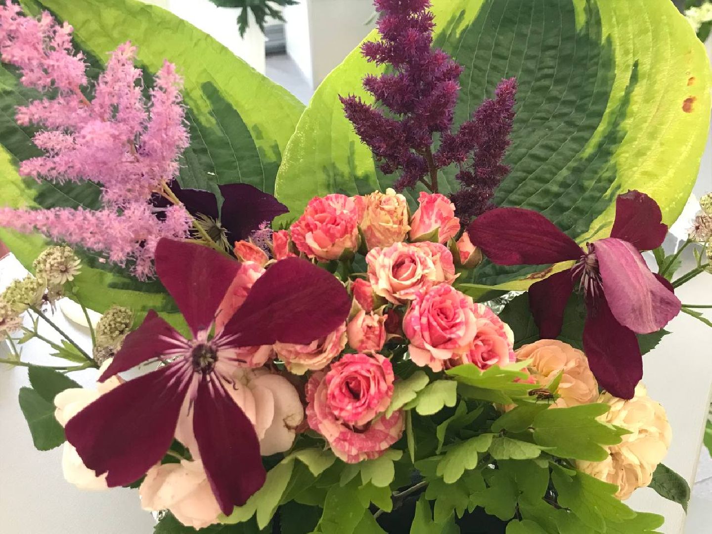 Коломна, общество, сельское хозяйство