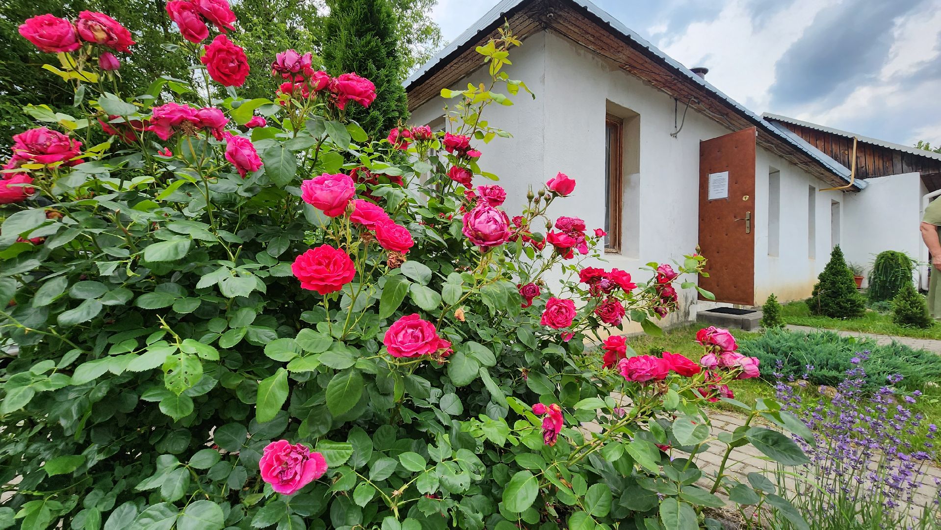 Мамонтовка, Пушкино, Пушкинский округ, храм, Нечаянная радость, паломничество