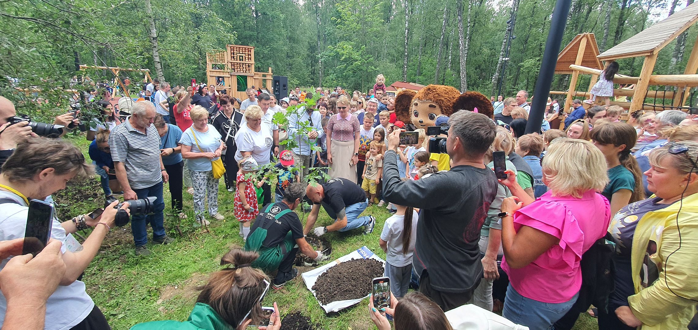 Парк Взлёт, Домодедово