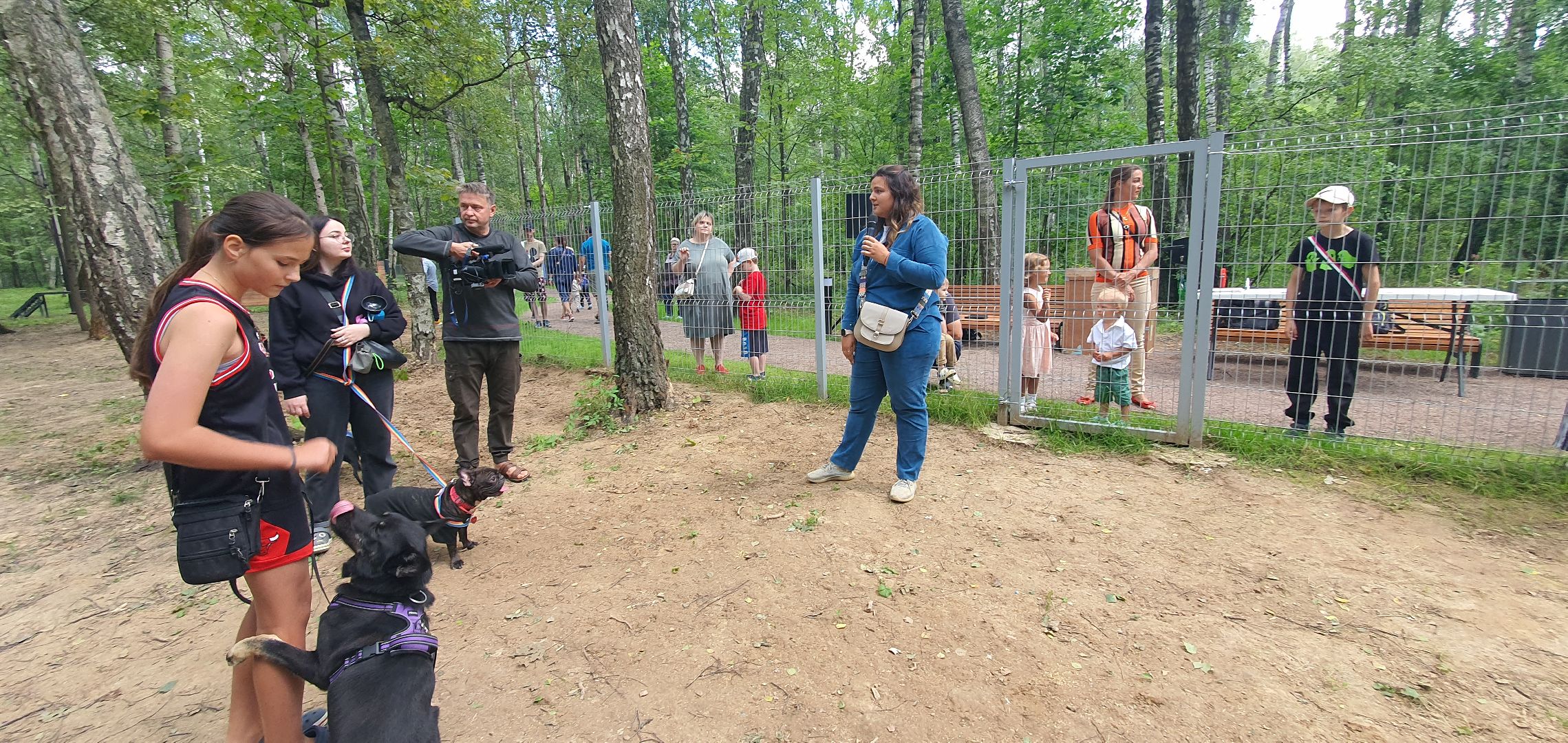 Парк Взлёт, фотовыставка собак, Домодедово