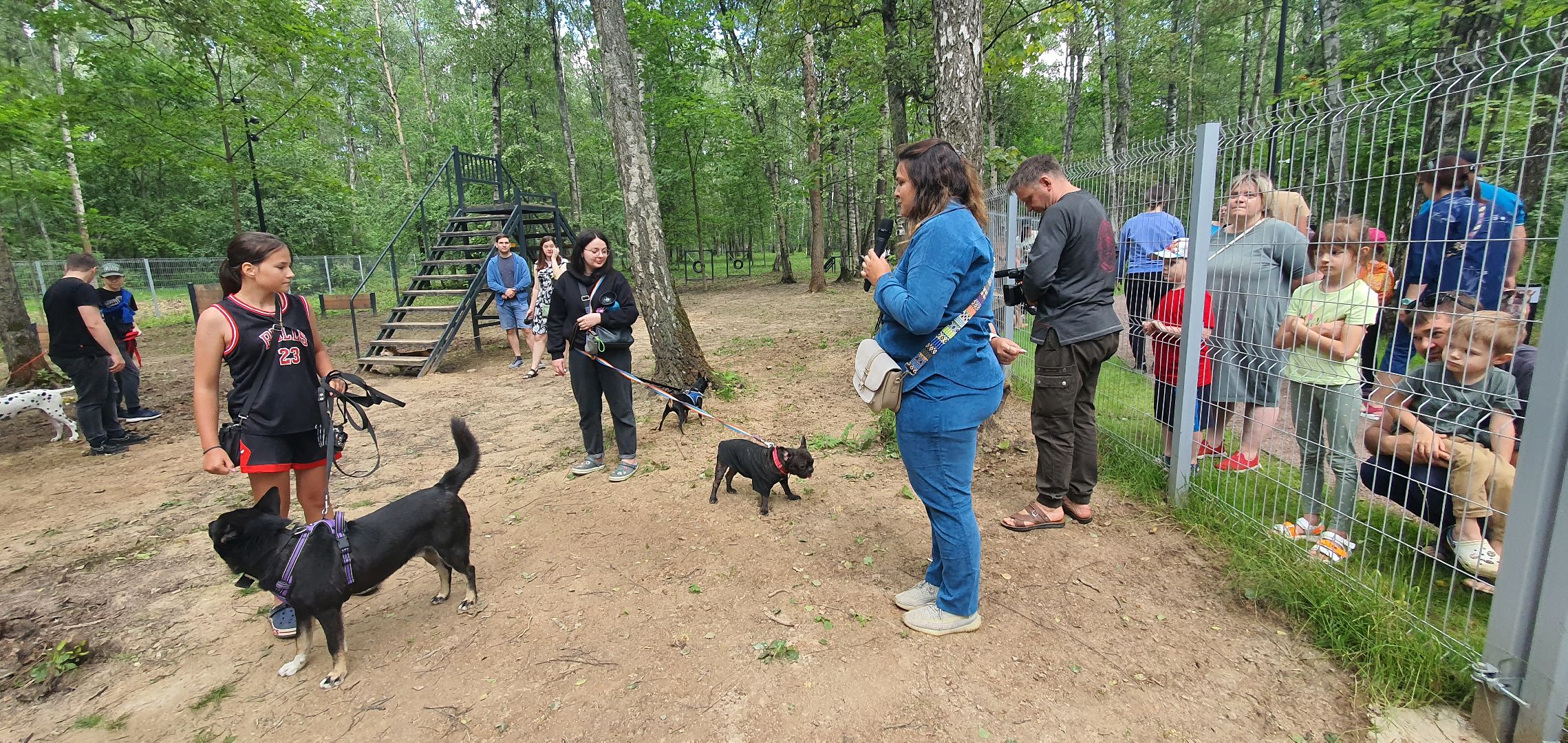 Парк Взлёт, фотовыставка собак, Домодедово