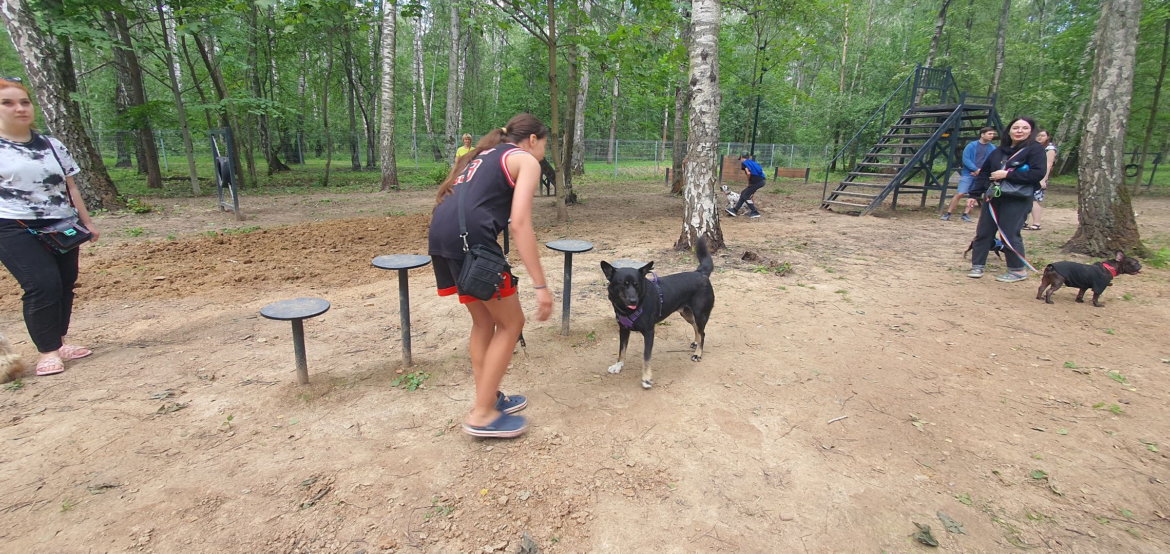Парк Взлёт, фотовыставка собак, Домодедово