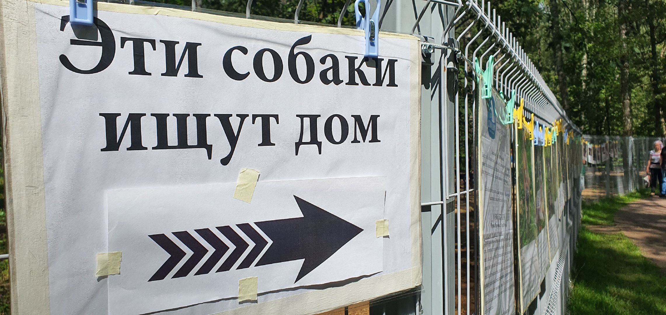 Парк Взлёт, фотовыставка собак, Домодедово