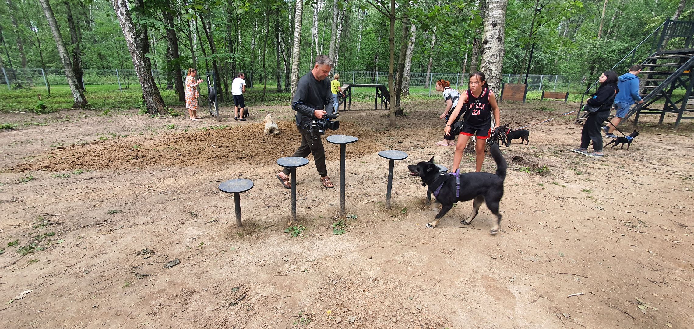 Парк Взлёт, фотовыставка собак, Домодедово