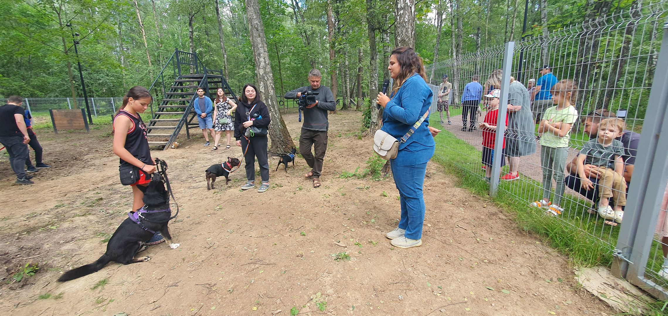 Парк Взлёт, фотовыставка собак, Домодедово