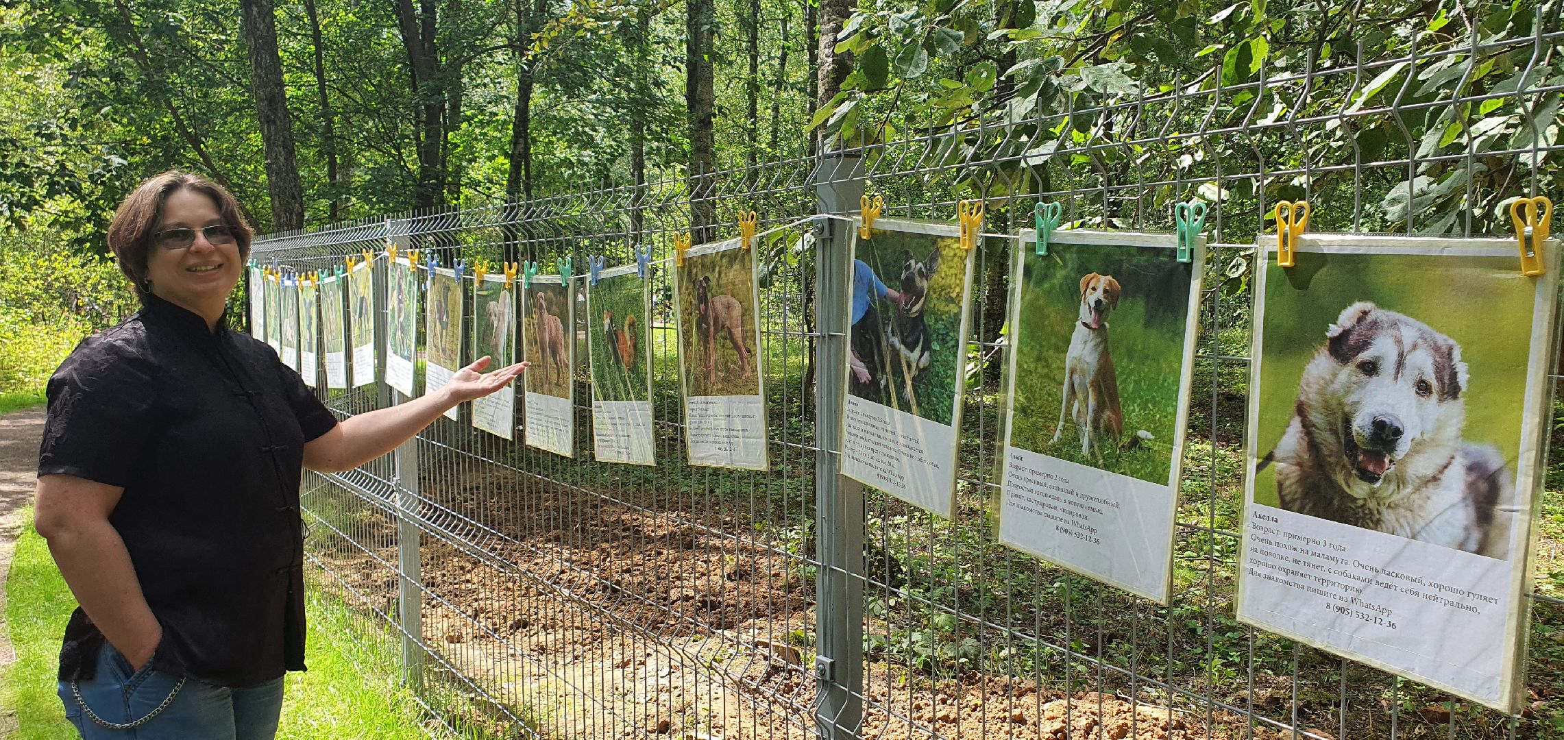 Парк Взлёт, фотовыставка собак, Домодедово