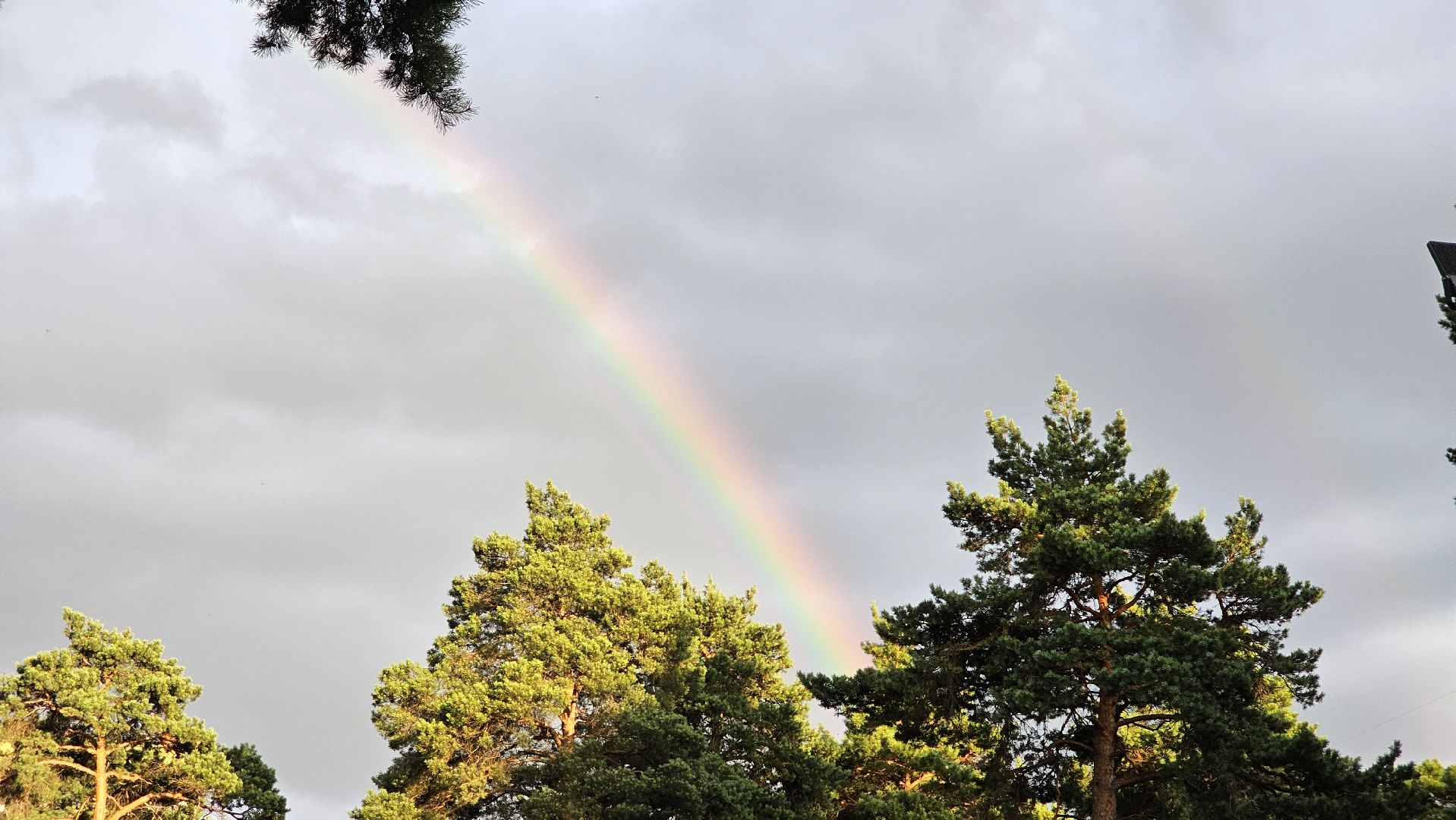 погодное явление, радуга, дождь, Котельники