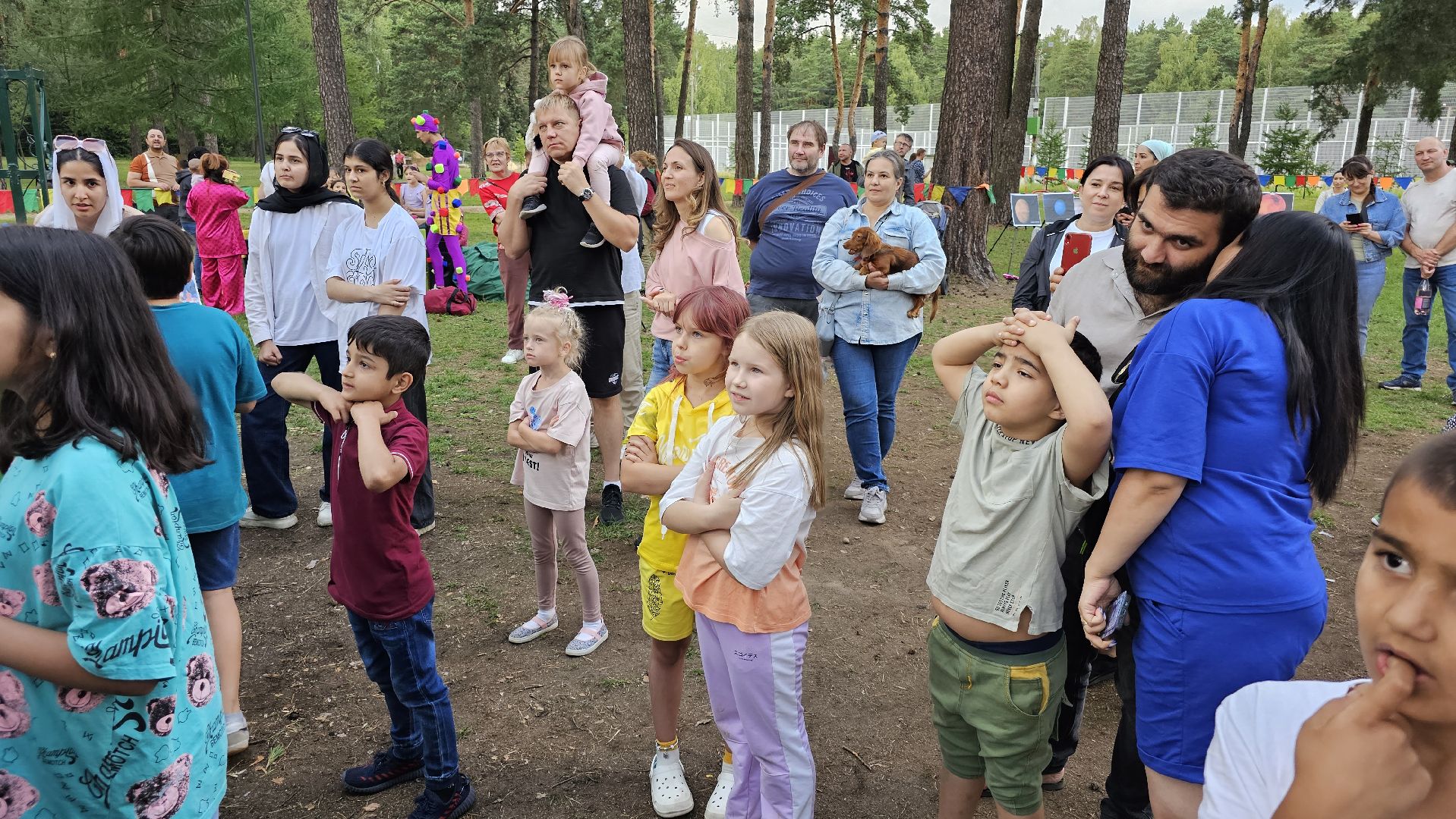 Ночь в парке, лето в Подмосковье, Котельники