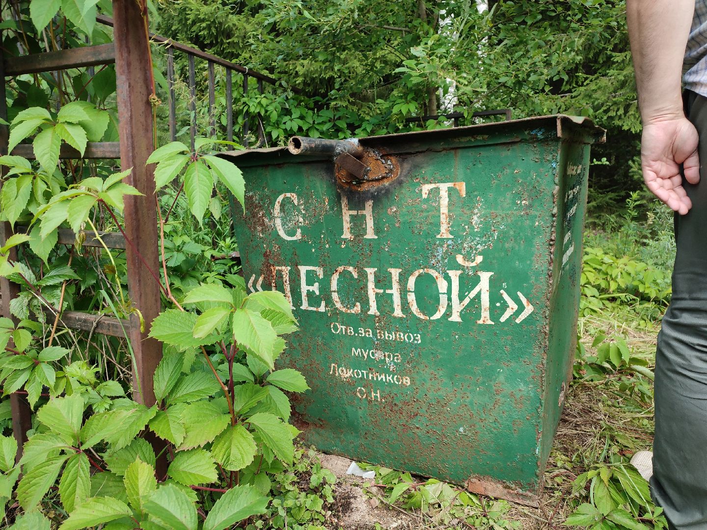 #снт, #губернатор, #талдомскийокруг, #экология, #несанкционированныесвалки