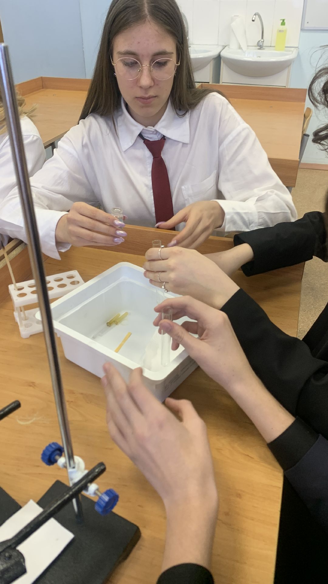 Ступино, общество