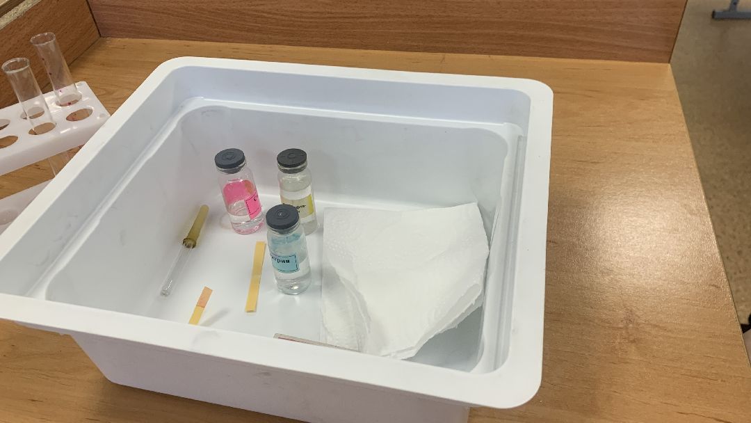 Ступино, общество