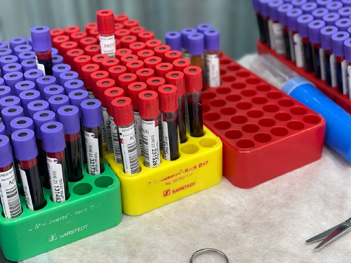 Сергиево-Посадский городской округ, Сергиев Посад, Донорство, Сдача крови, СВО, Акция, Благотворительность, Добрые дела