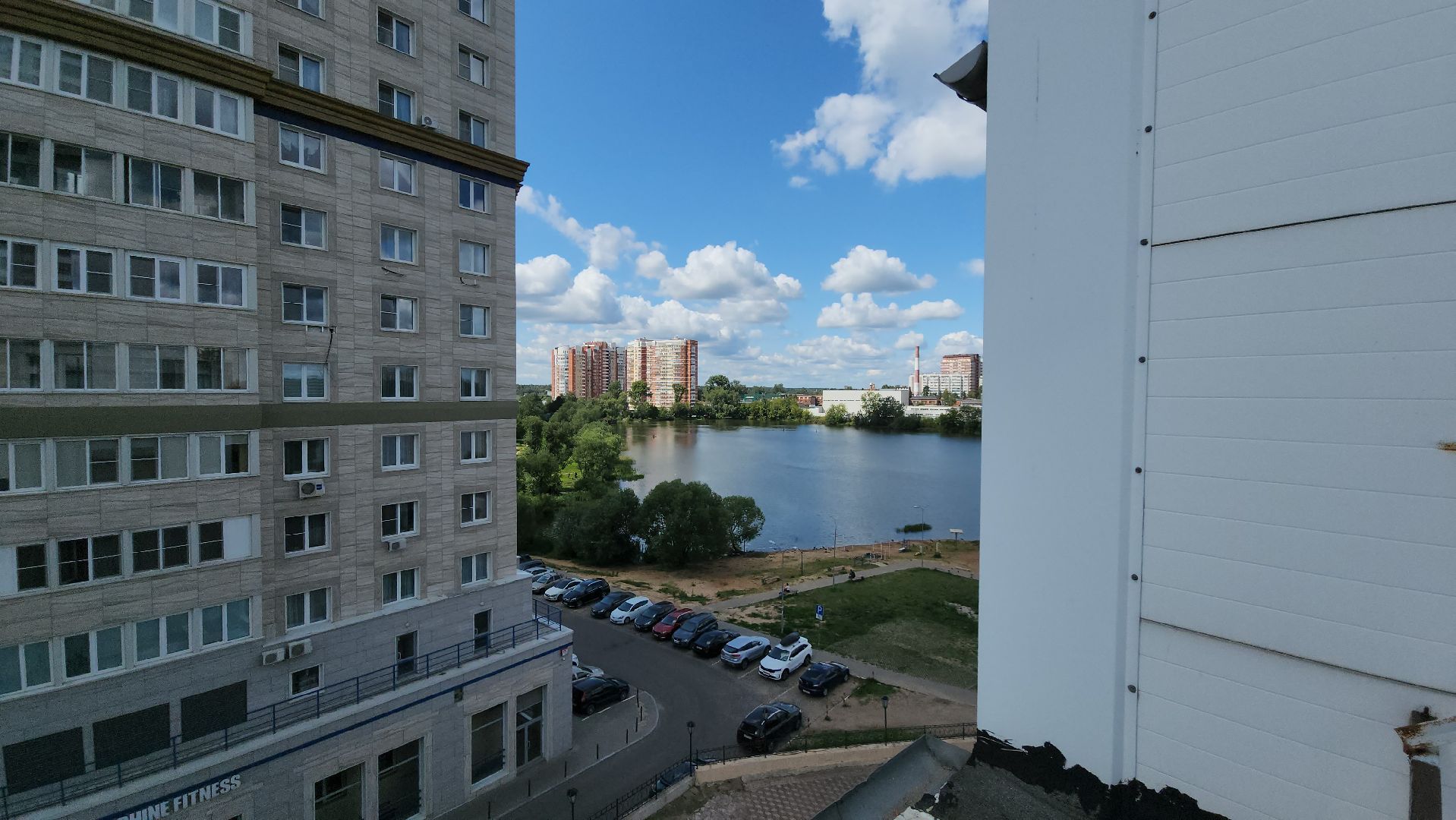 Пушкино, Пушкинский округ, спорт, молодежь