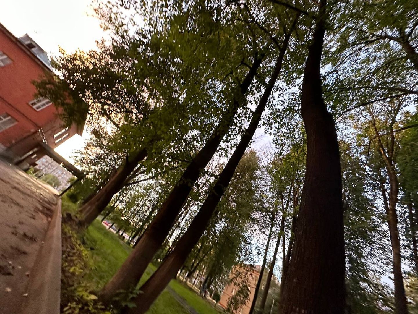 Гражданский форум, Здравоохранение Подмосковья, Капремонт Областной больницы, Наро-Фоминск