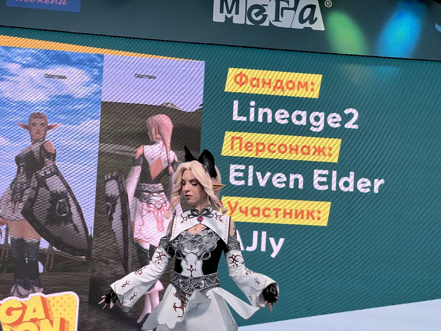 Химки, Мега Химки, Мегакон, косплей, фестиваль