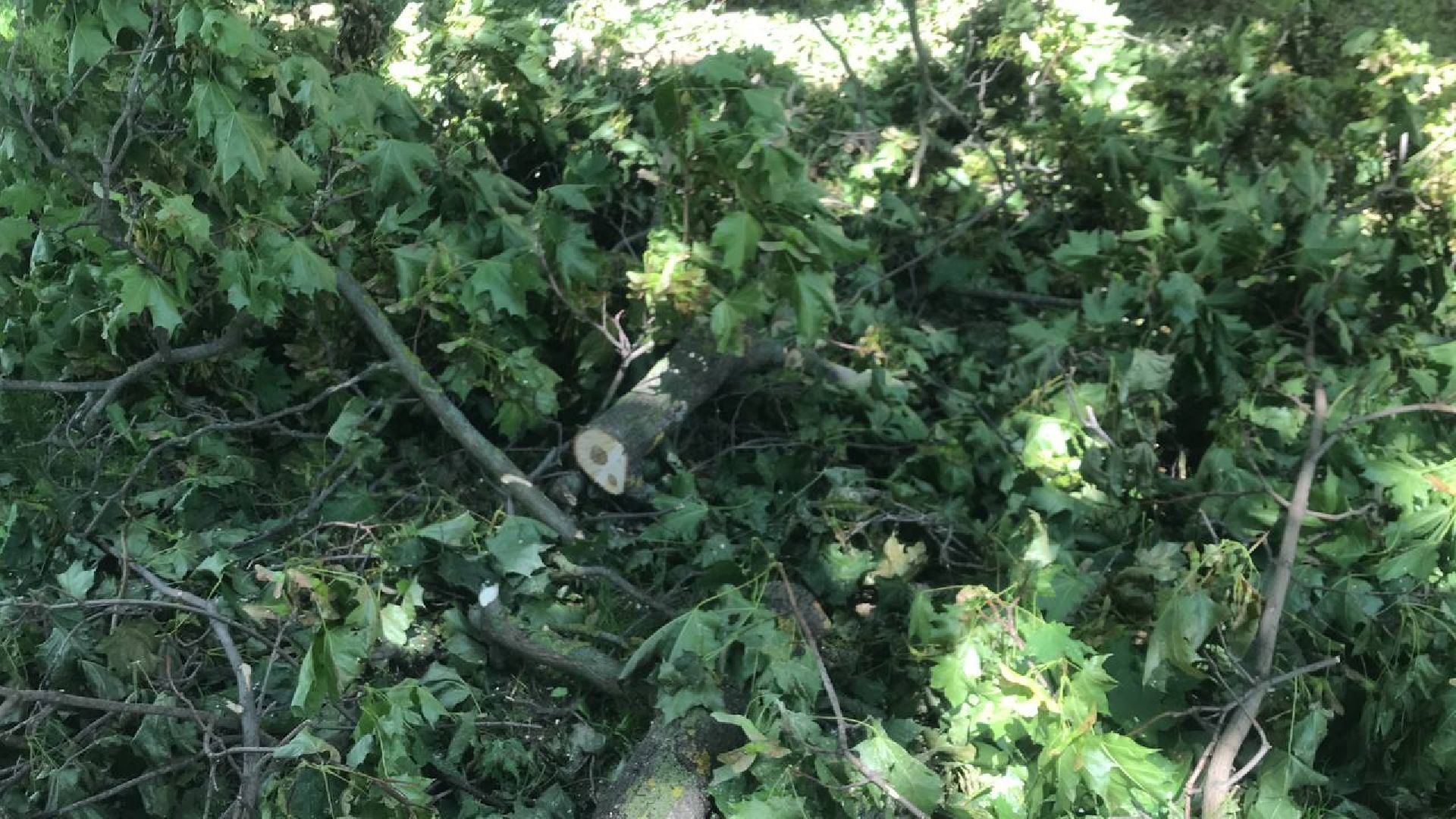 Коломна, благоустройство, общество