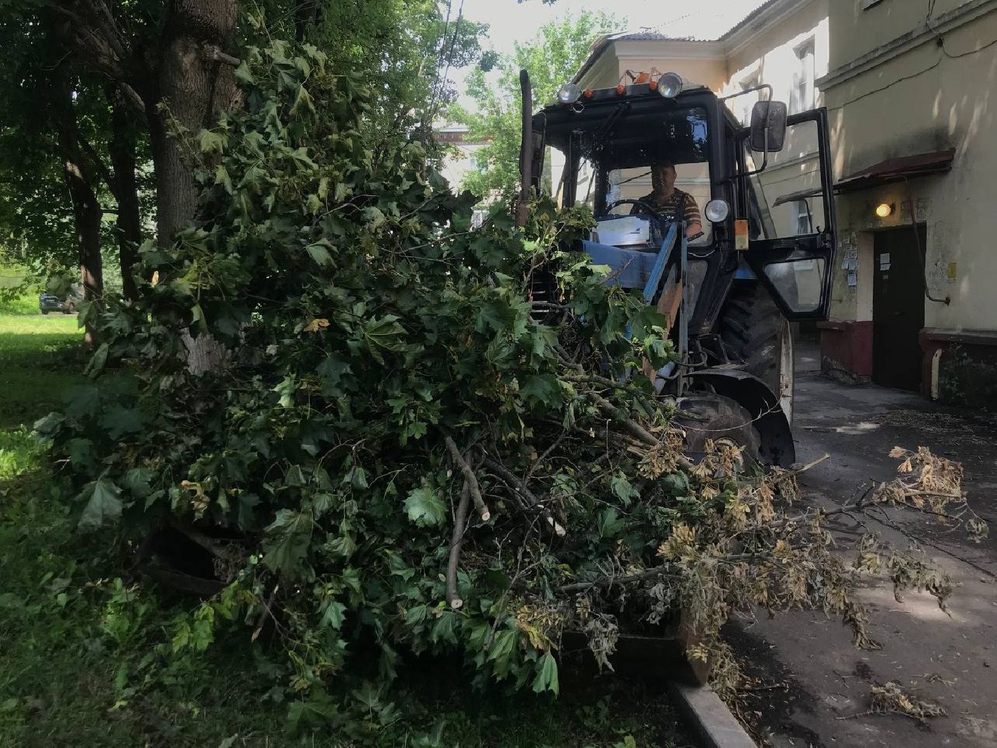 Коломна, благоустройство, общество