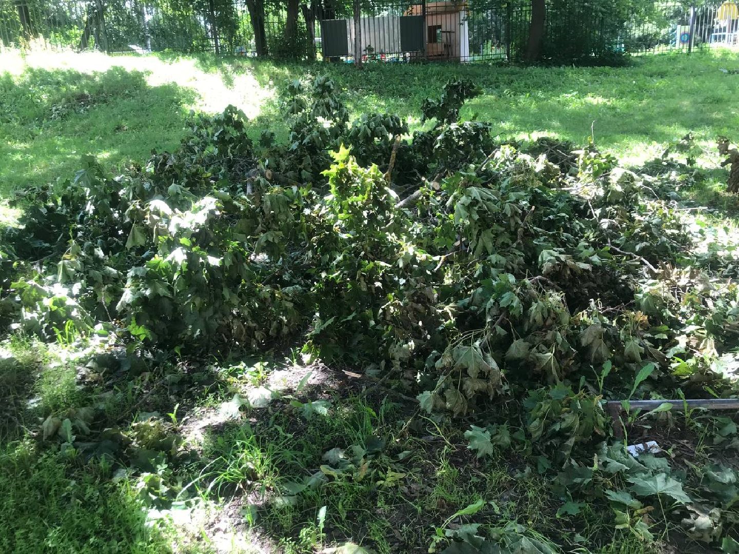 Коломна, благоустройство, общество