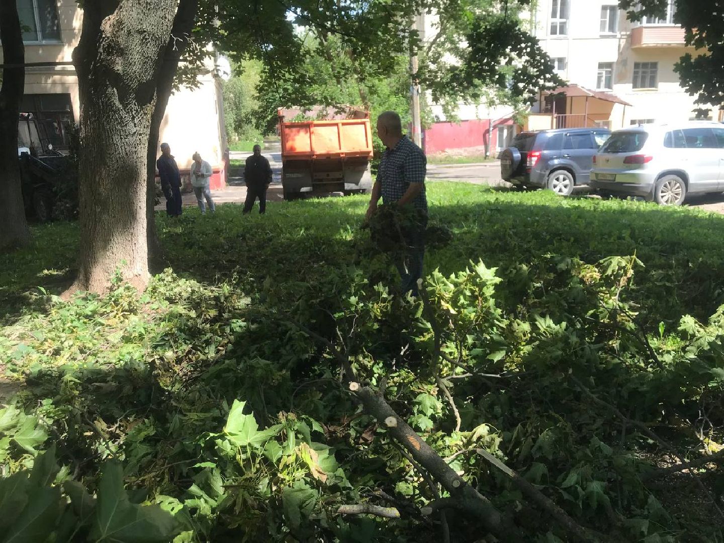 Коломна, благоустройство, общество