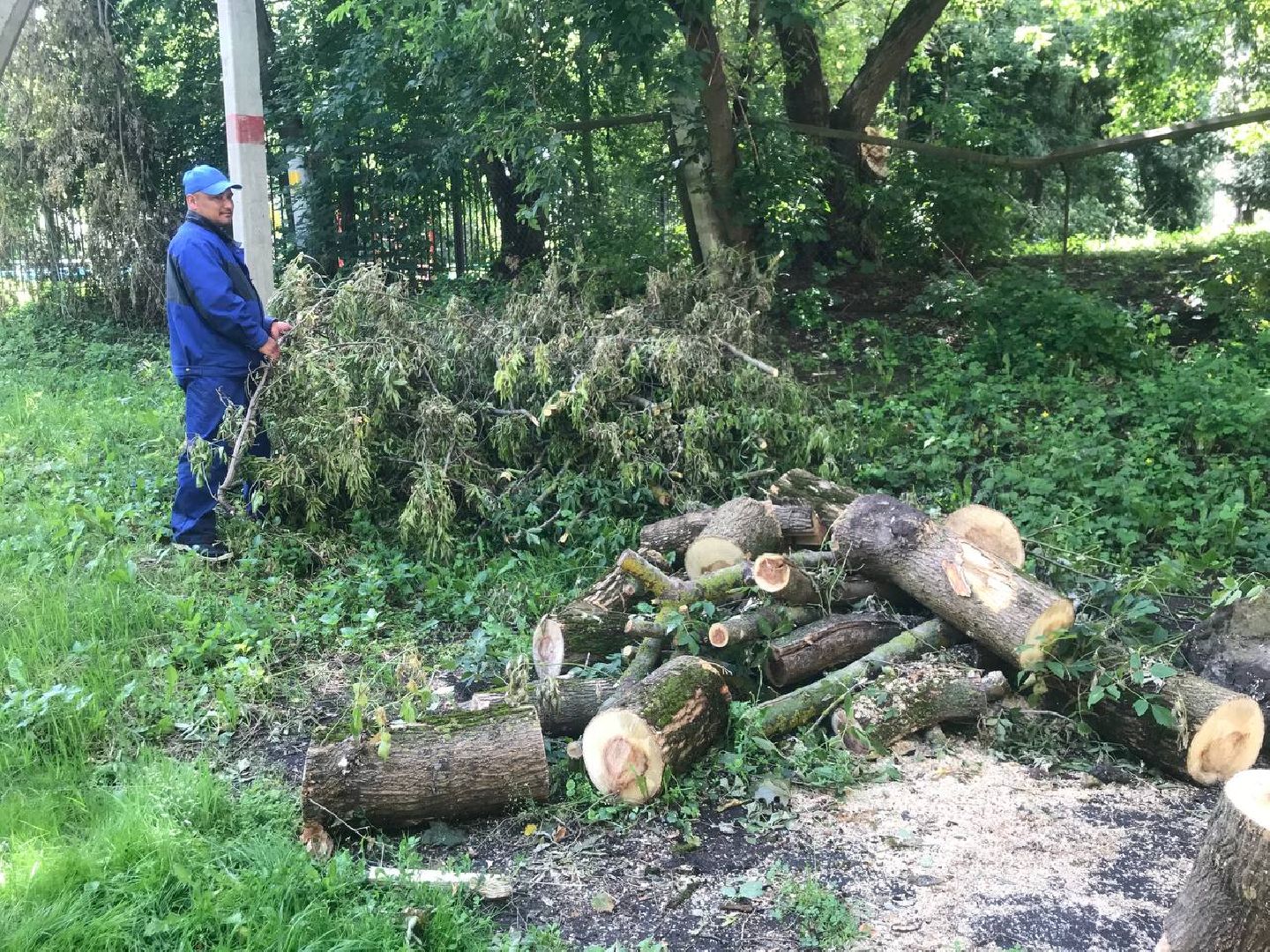 Коломна, благоустройство, общество