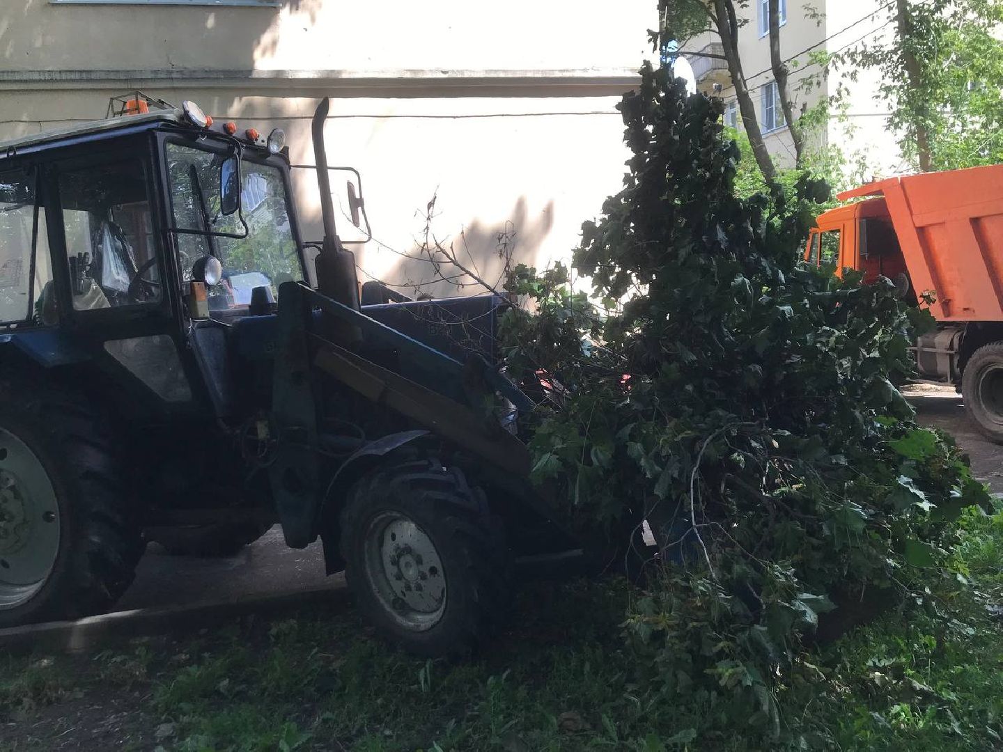 Коломна, благоустройство, общество