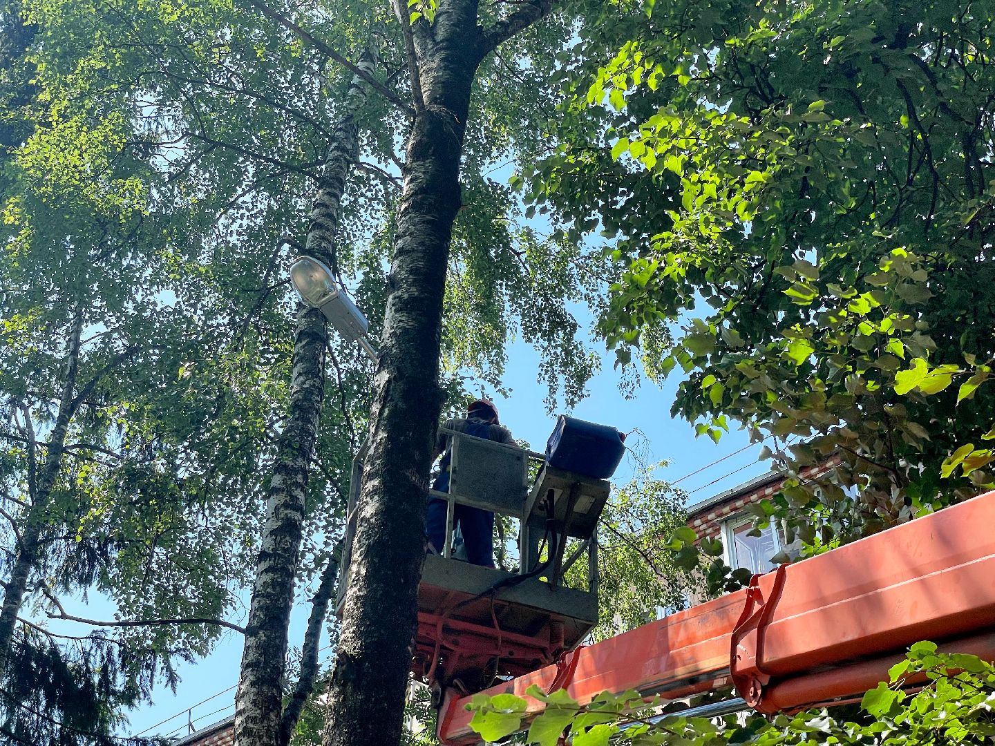 Сергиево-Посадский городской округ, Сергиев Посад, Благоустройство, Двор, Детская площадка, Светлый город, Освещение