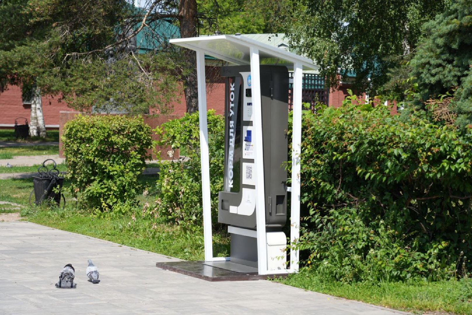 Сергиево-Посадский городской округ, Сергиев Посад, Утки, Бизнес, Общество, Добрые дела, Птицы