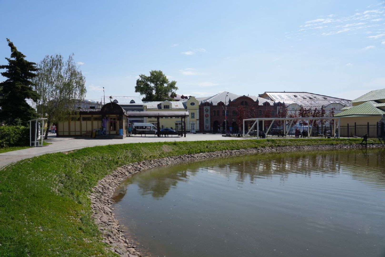 Сергиево-Посадский городской округ, Сергиев Посад, Утки, Бизнес, Общество, Добрые дела, Птицы
