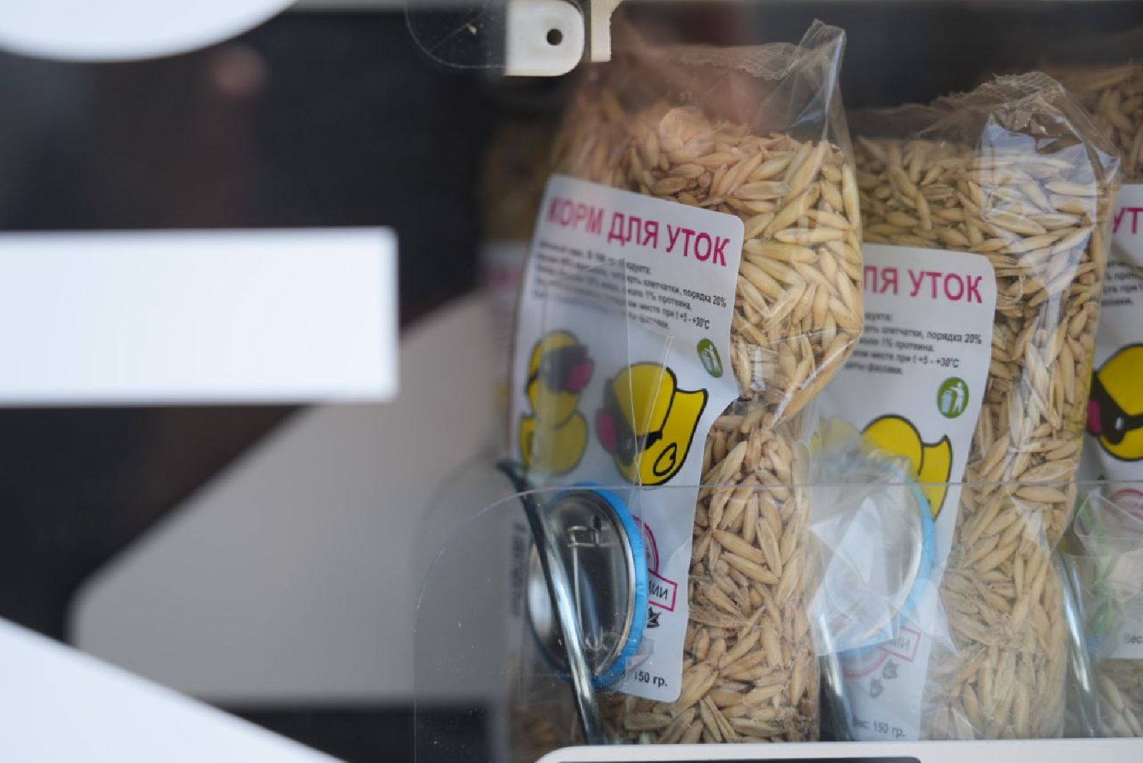 Сергиево-Посадский городской округ, Сергиев Посад, Утки, Бизнес, Общество, Добрые дела, Птицы