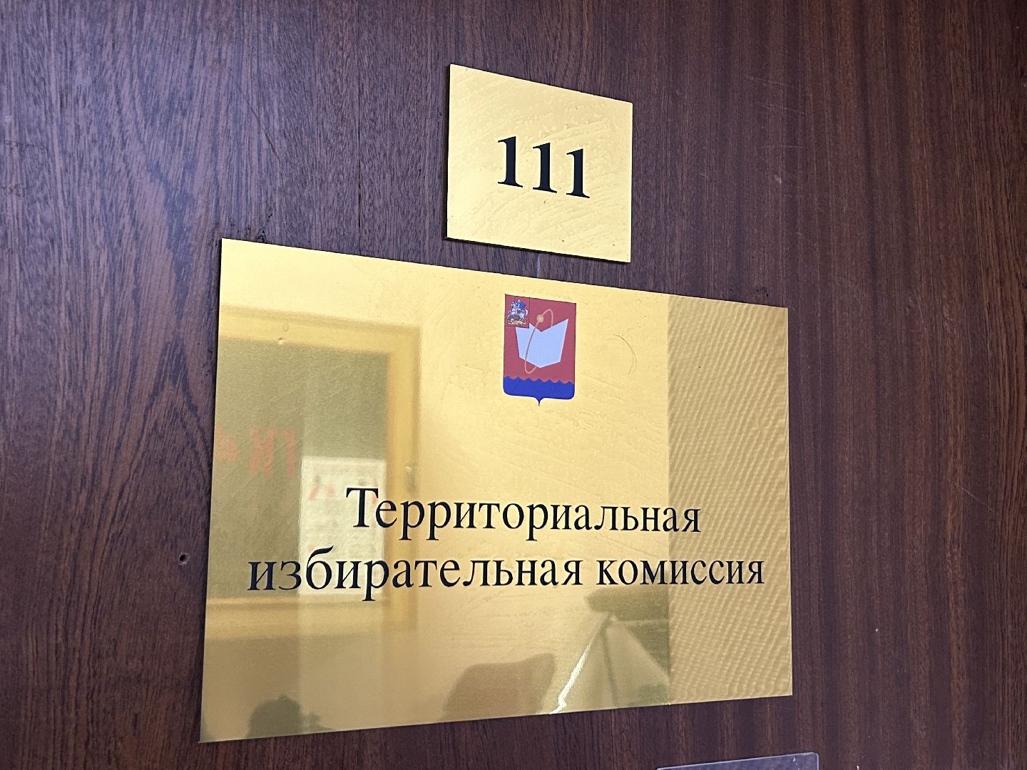 ТИК, выборы, Фрязино