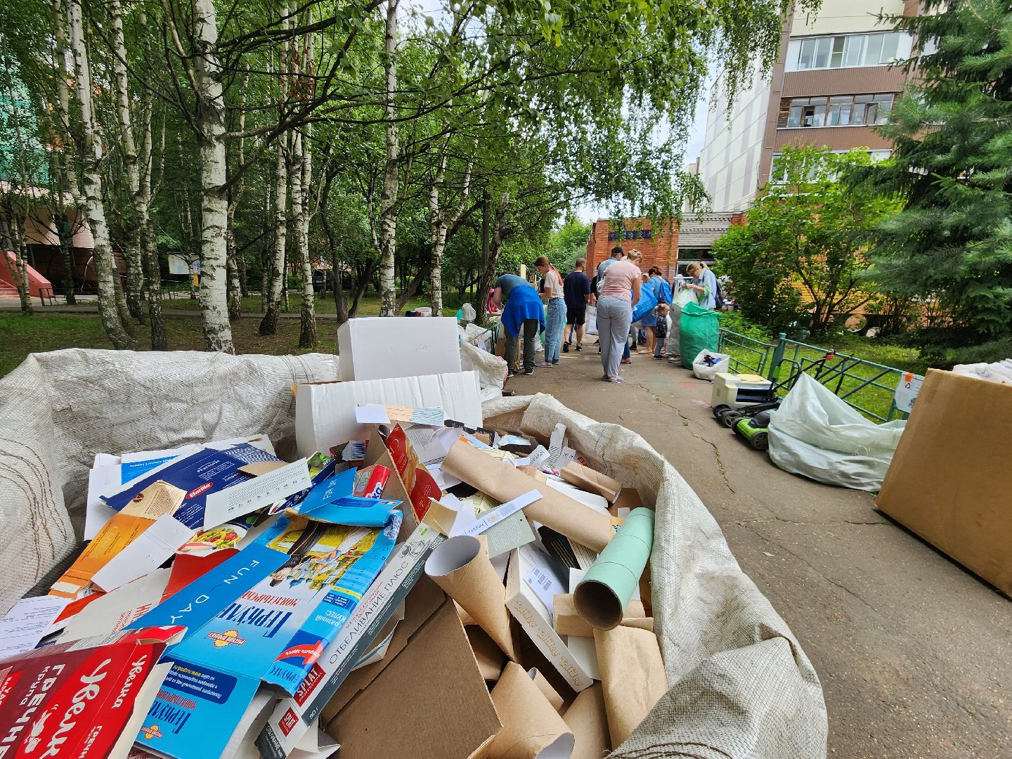 Одинцово, лесной городок, экология, мусор, отходы, раздельный сбор,