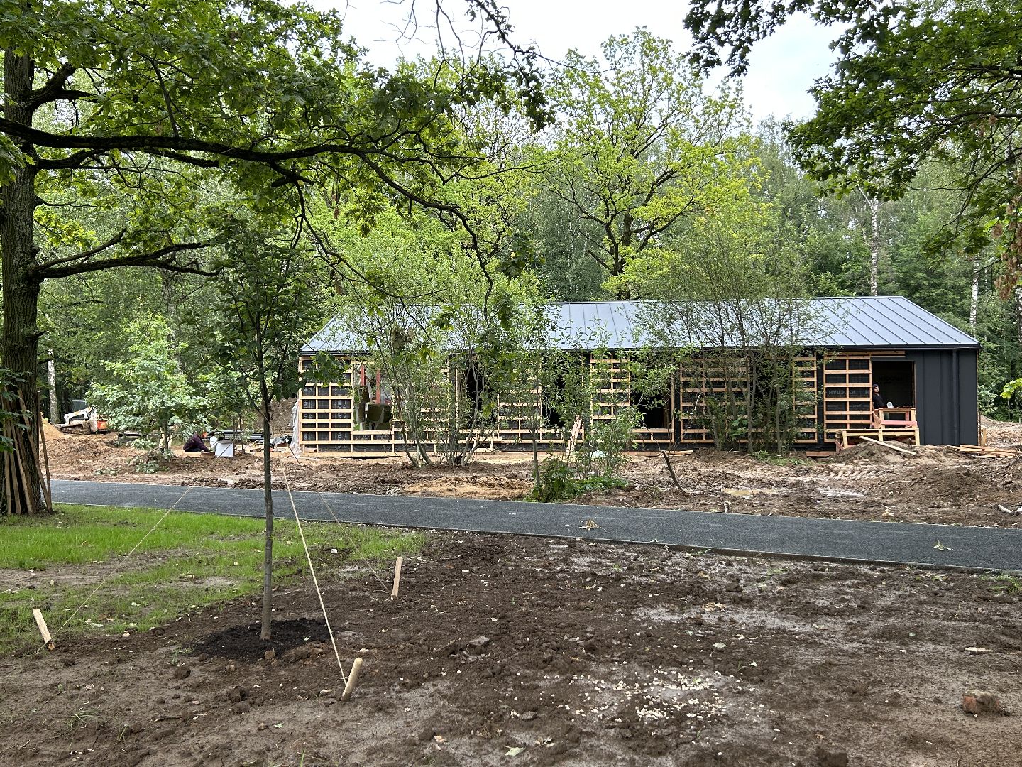 благоустройство, лесопарк, Фрязино