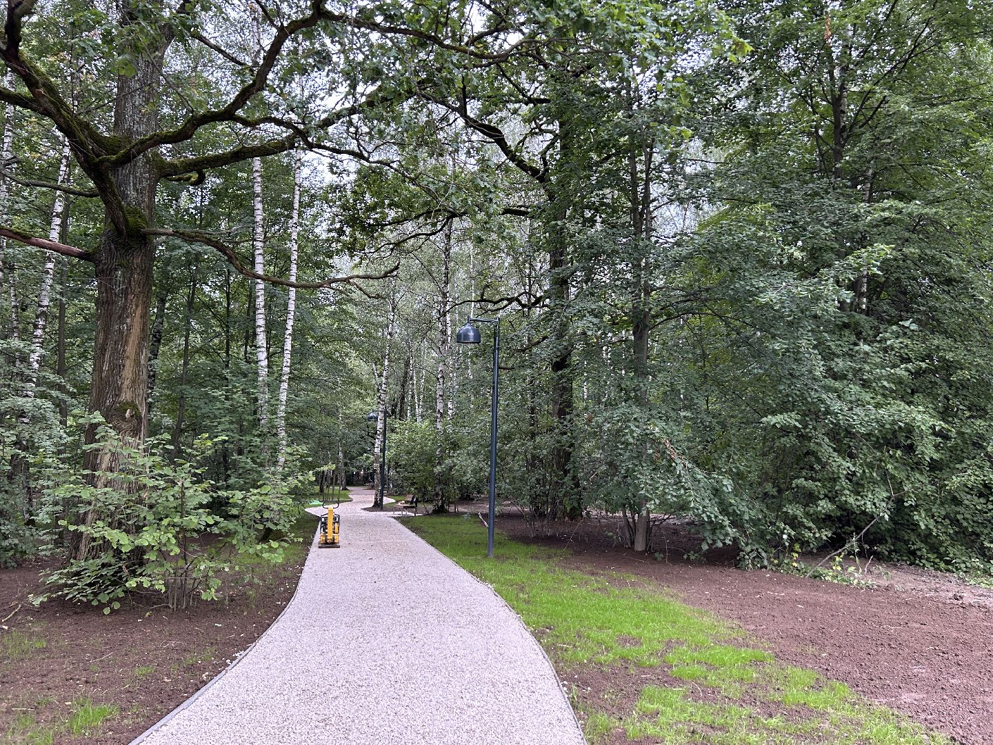 благоустройство, лесопарк, Фрязино