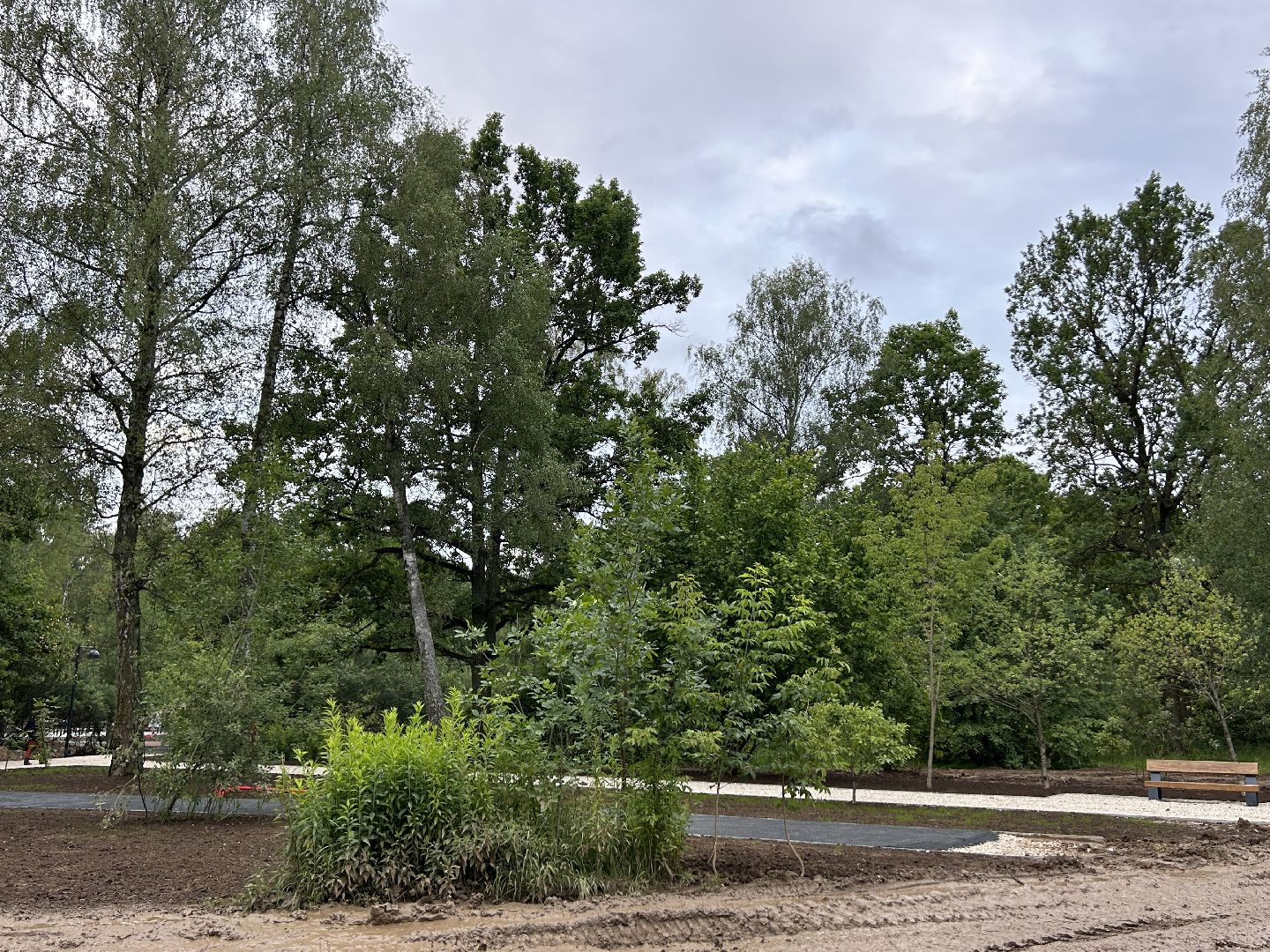 благоустройство, лесопарк, Фрязино