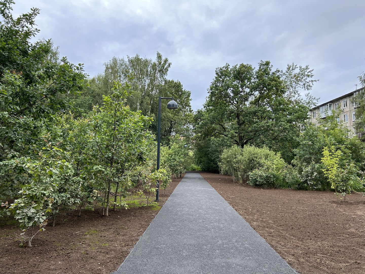 благоустройство, лесопарк, Фрязино