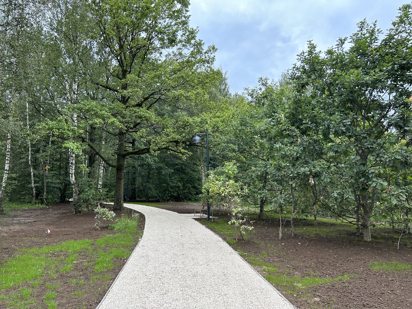 благоустройство, лесопарк, Фрязино